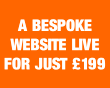 Website design for just £199.00